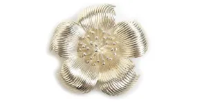 Broche de plata 925 Tiffany & Co. 